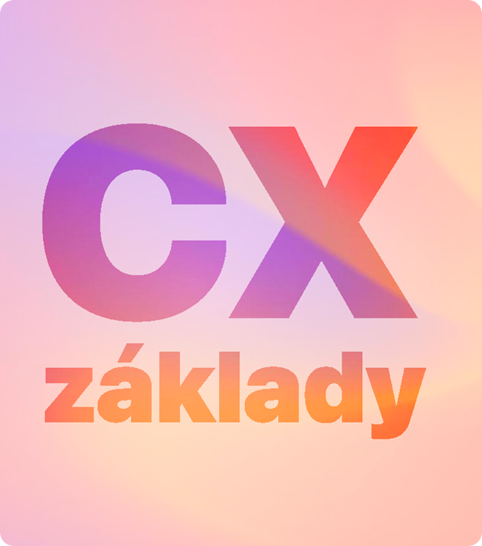 cx-basics-banner-cz