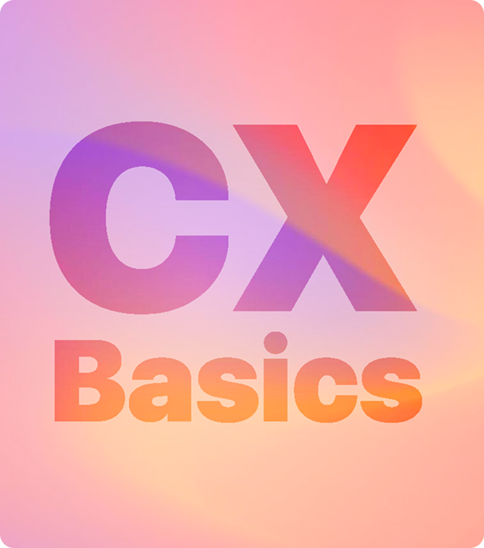 cx-basics-banner-en